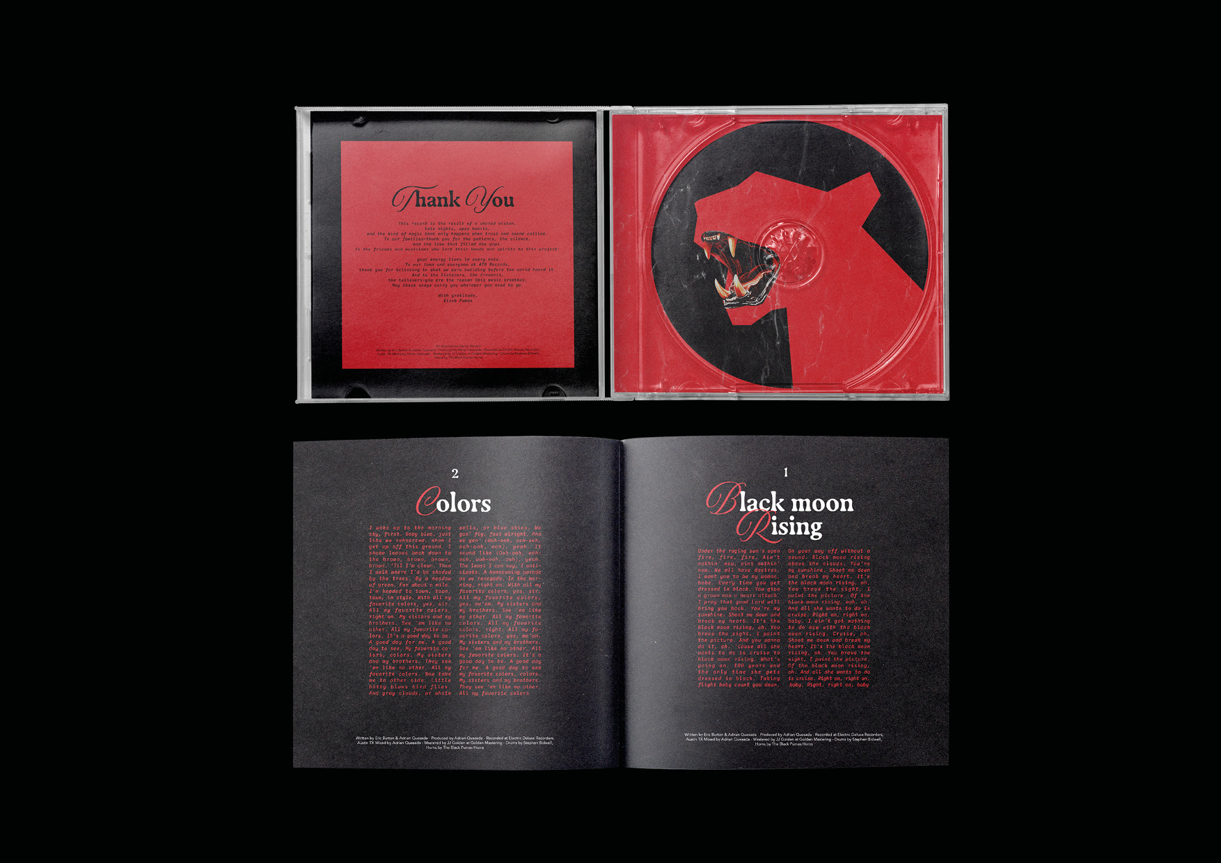 BLACK PUMAS — Visuel 3